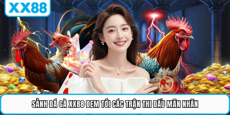 Sảnh đá gà XX88 đem tới các trận thi đấu mãn nhãn